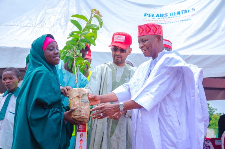 Kano Unveils Tree Planting Campaign to Combat Climate Change