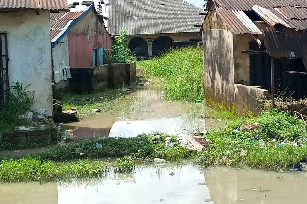 Maiduguri Flood: NMA Appeals for Urgent Health Safeguards