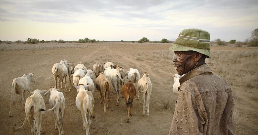 Ten Ways Livestock Enhance Food Security, Climate Resilience