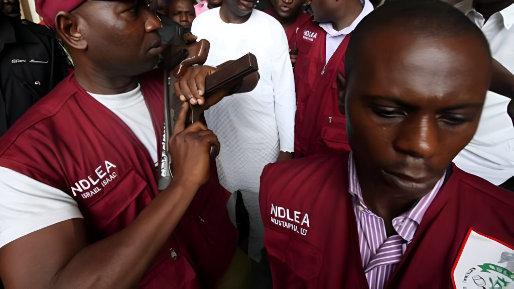 Drug Dealer Linked to NDLEA Operative's Death Apprehended in Sokoto