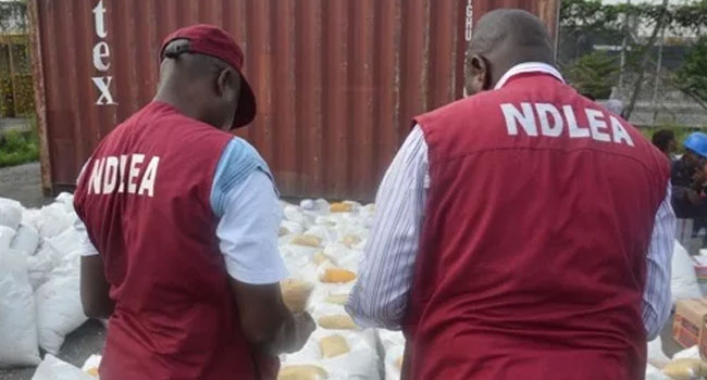 NDLEA Busts Illegal Drug Operations, Apprehends Insurgent-Linked Suppliers