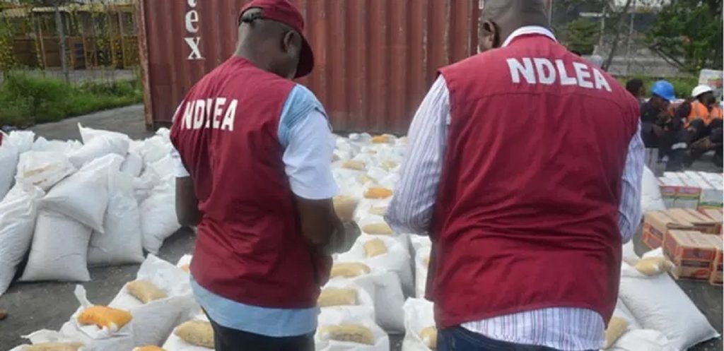 NDLEA Seizes ₦14.95 Billion Worth of Drugs at Lagos Port