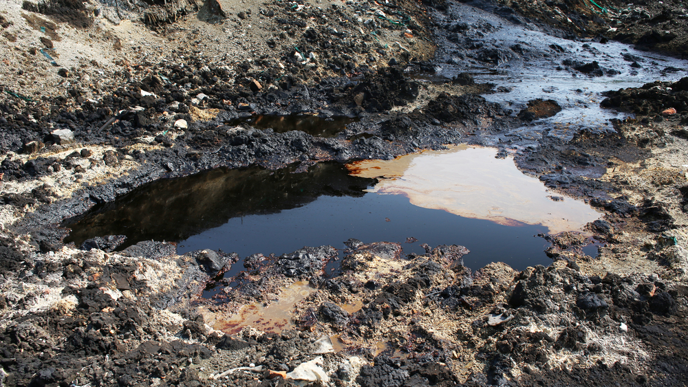 Nigeria: Oil Production to Resume in Ogoni Says NYCOP