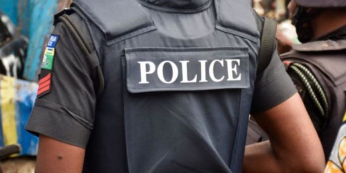 Nigeria: Reps Propose Increase in Police Retirement Age