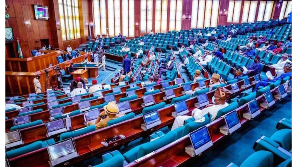 Nigeria's House of Representatives to Monitor Probe of Military Drone Attack