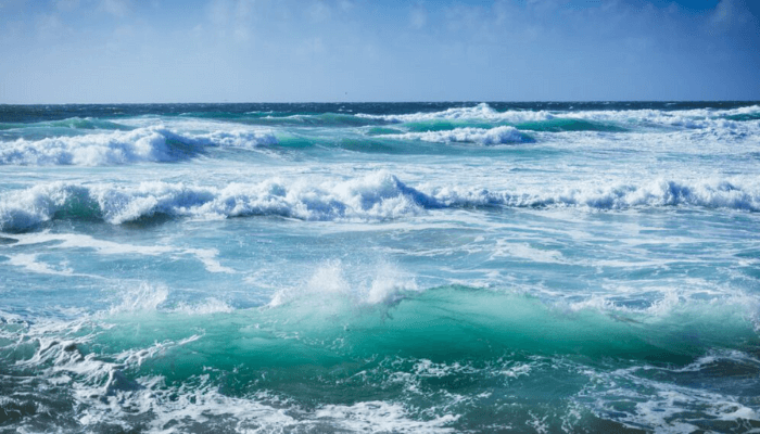 Nigeria's Ministry of Marine and Blue Economy Draws Global Interest