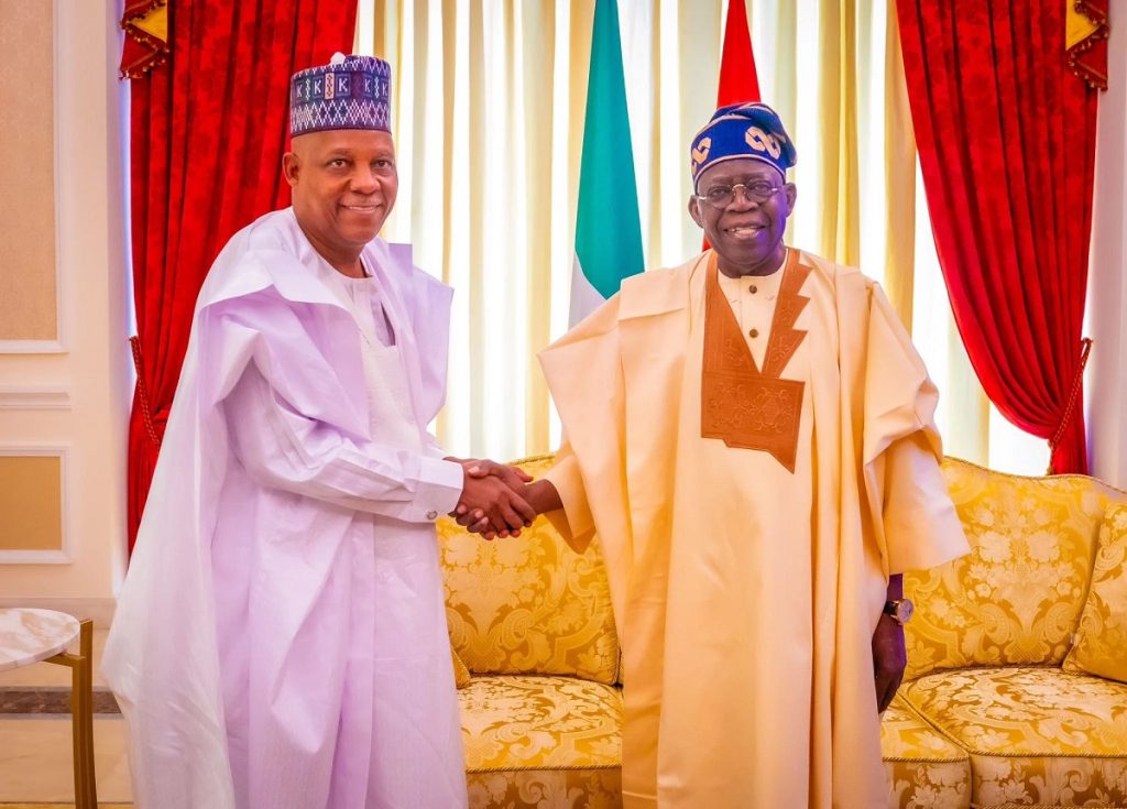 Nigeria's Presidency Names Interim Leaders as Tinubu, Shettima Stay Abroad