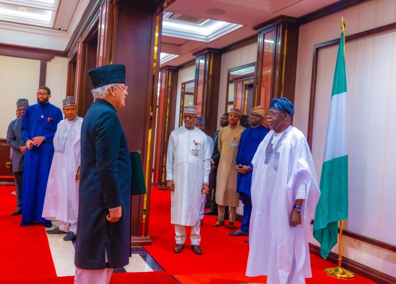 Nigeria's President Tinubu Emphasises Nigeria-Egypt Alliance for Global Harmony