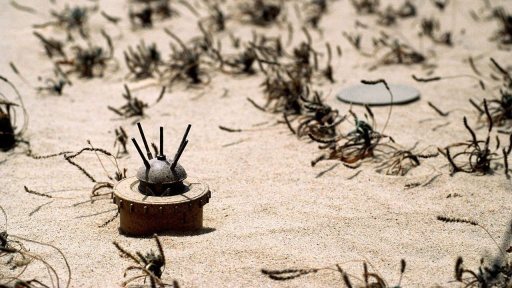 Over 444 Million Square Metres in Libya Contaminated by Landmines