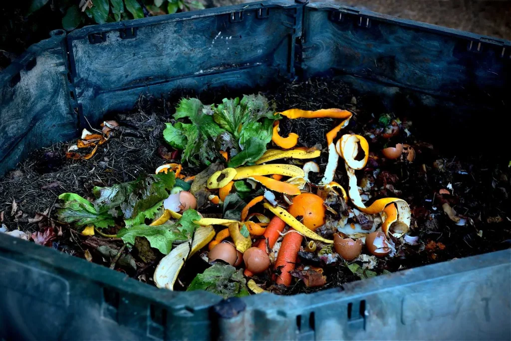 Over 780 Million Starve, While World Hits 19% Food Waste, UN Reports