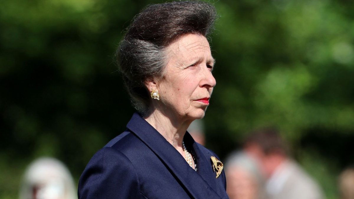 Princess Anne Rushed To Hospital For Alleged Head Injuries