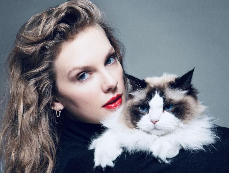 Taylor Swift, self-confessed 'Childless Cat Lady'