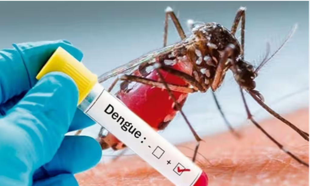 Dengue Fever Outbreak in Ghana, What You Must Know