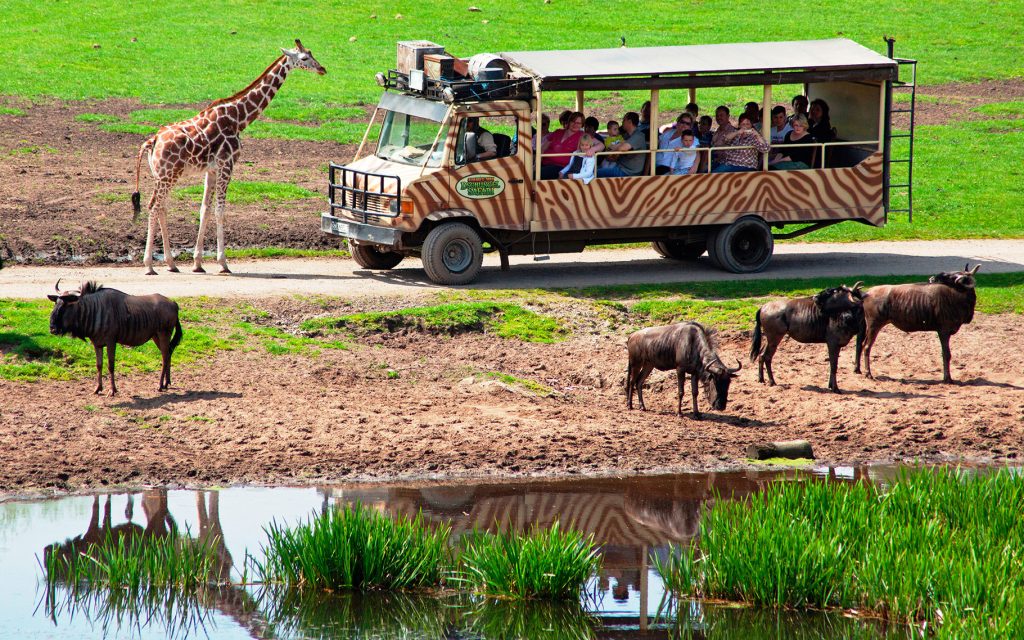 Serengeti Park; Unveiling Africa's Timeless Wildlife Ballet (News Central TV)