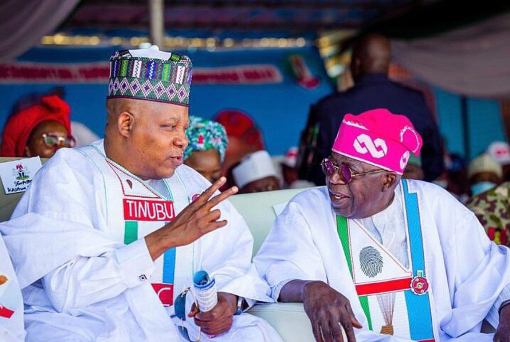 No Leadership Void Despite Tinubu, Shettima Absence - Presidency