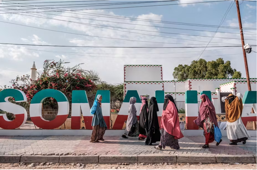 Somaliland to Hold Presidential Election During Diplomatic Crisis