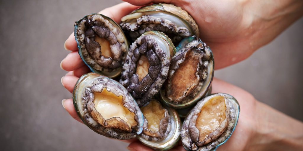 South African Authorities Nab Three Foreigners in Major Abalone Poaching Case