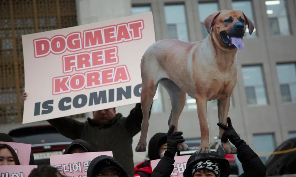 South Korea Passes Bill Banning Production and Sale of Dog Meat