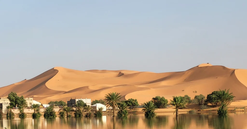 Torrential Rains Revive Morocco’s Desert, Bringing Lakes and Wildlife Back