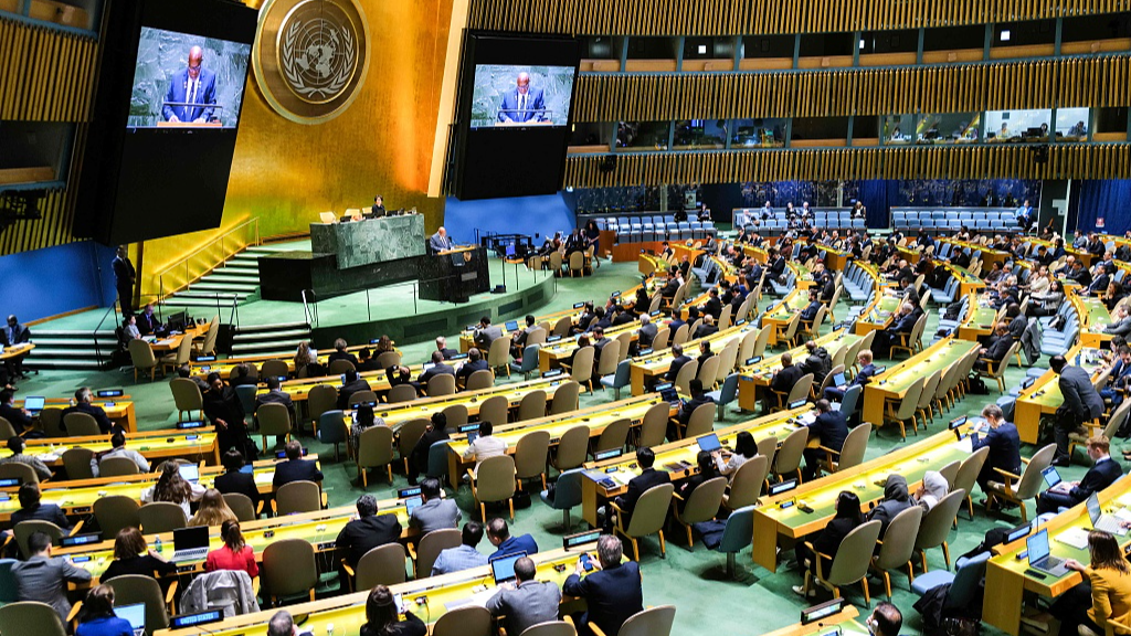 UN General Assembly Overwhelmingly Backs Palestinian Bid for Membership
