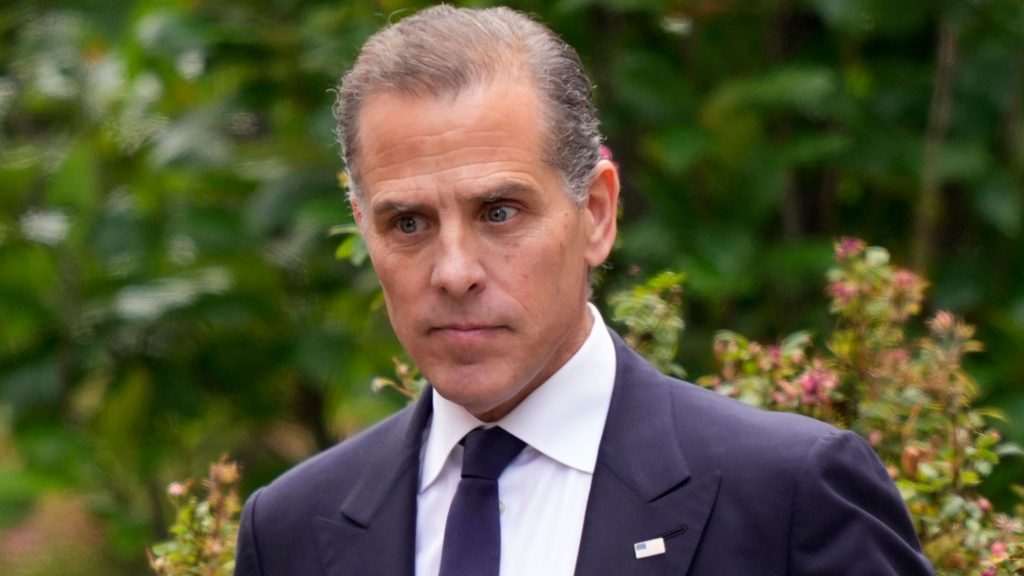 US President's Son Hunter Biden Pleads Guilty to Tax Evasion