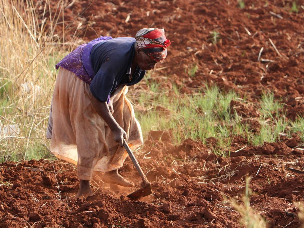 Zimbabwe to Compensate Farmers for Land Losses Under Mugabe