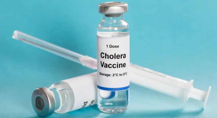 WHO says the cholera outbreak is on the rise