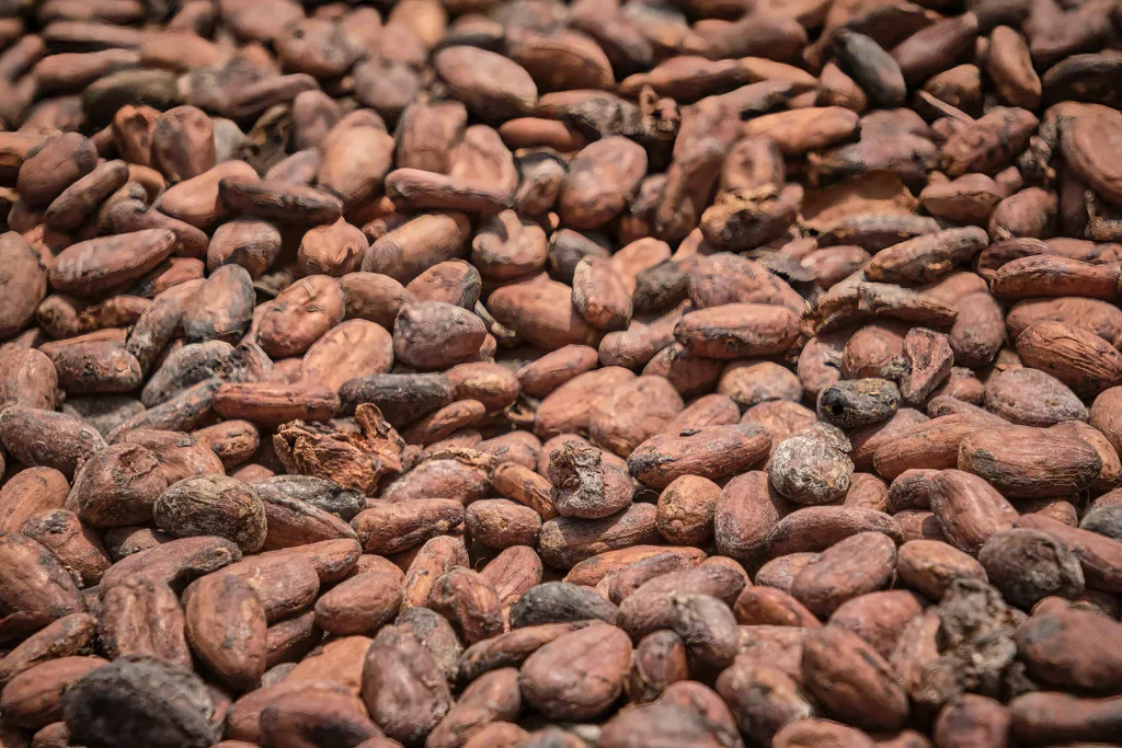 Cocoa Soars to Record Price on West African Weather Woes