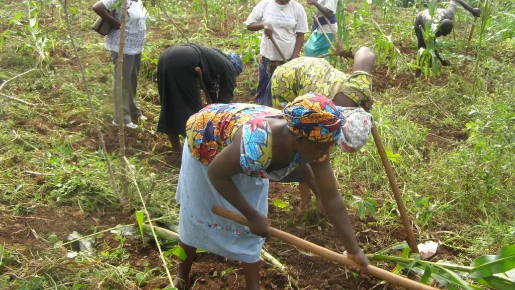 Enugu Residents Told to Go Back To Farming