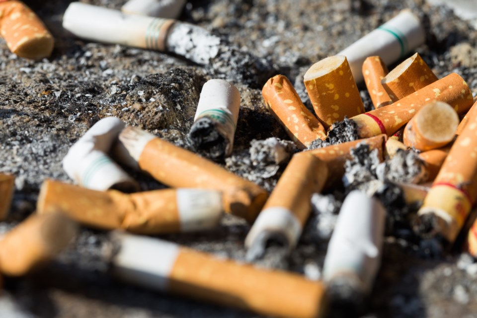 Kenya Senate Seeks to Update Tobacco Control Act as Smoking Rates Rise