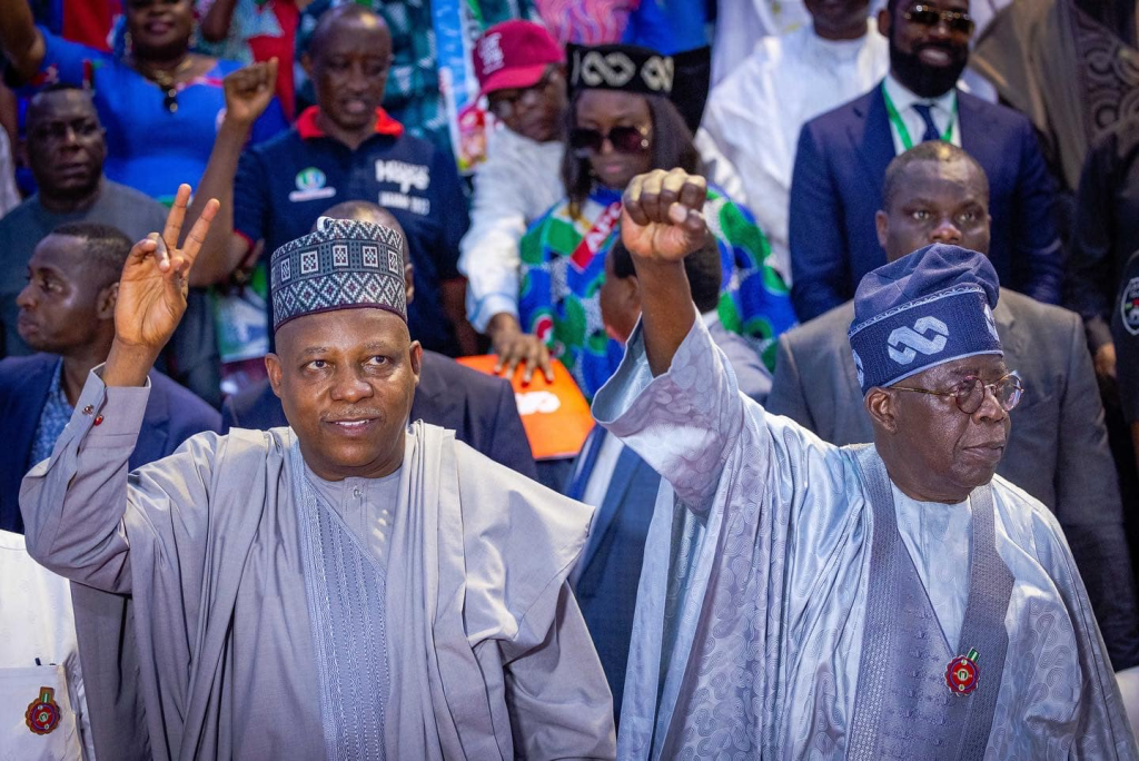 No Leadership Void Despite Tinubu, Shettima Absence - Presidency