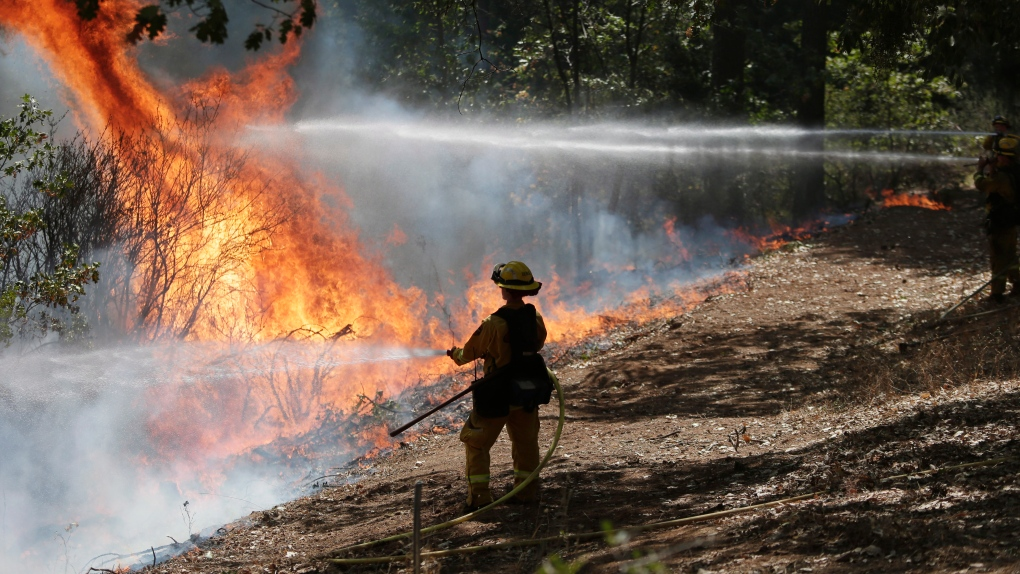 EU Climate Monitor Predicts 2024 to Be Hottest Year on Record