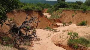 Yobe State Inaugurates Council to Tackle Erosion, Climate Change