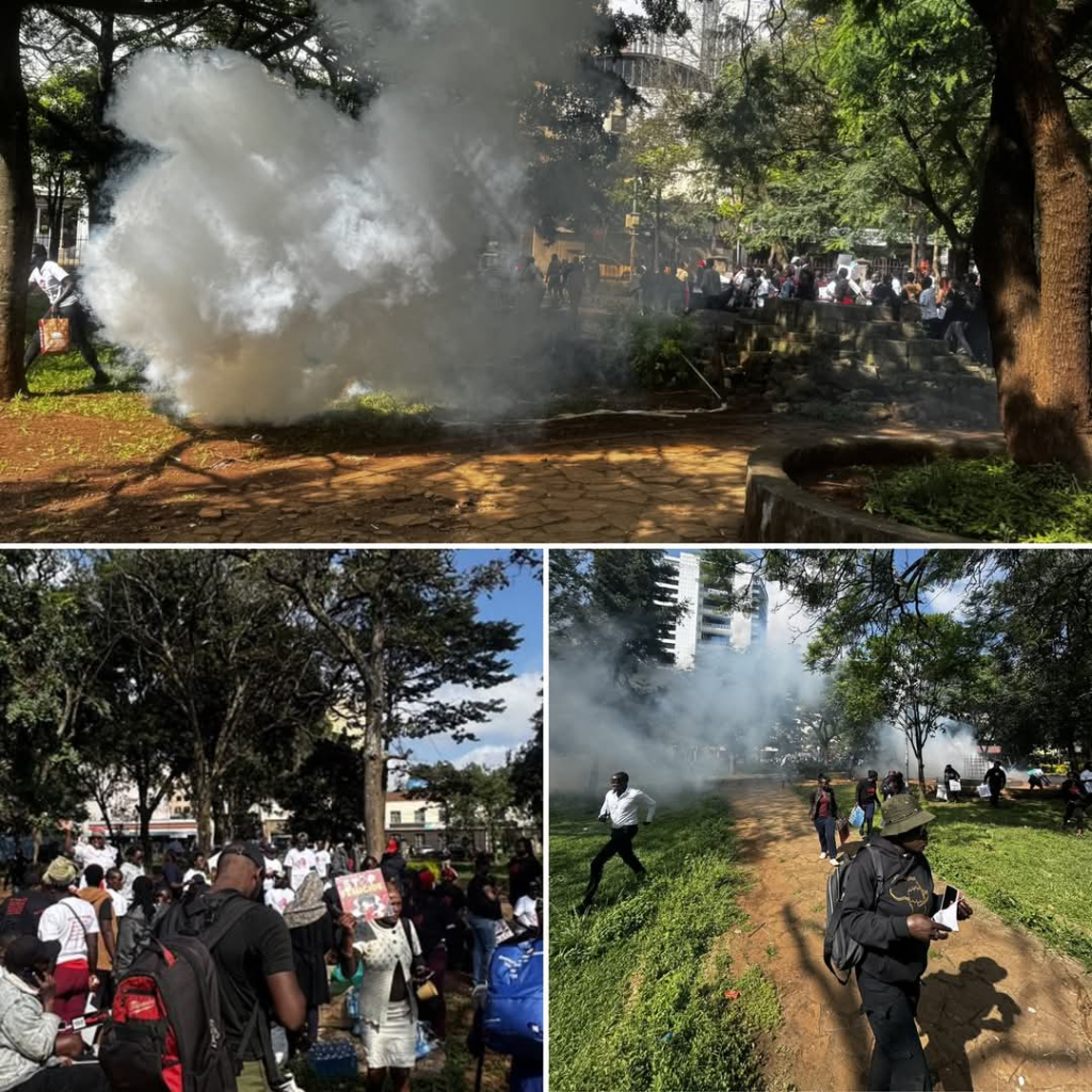 Amnesty Kenya, LSK Slam Police for Teargassing Anti-Femicide Protesters