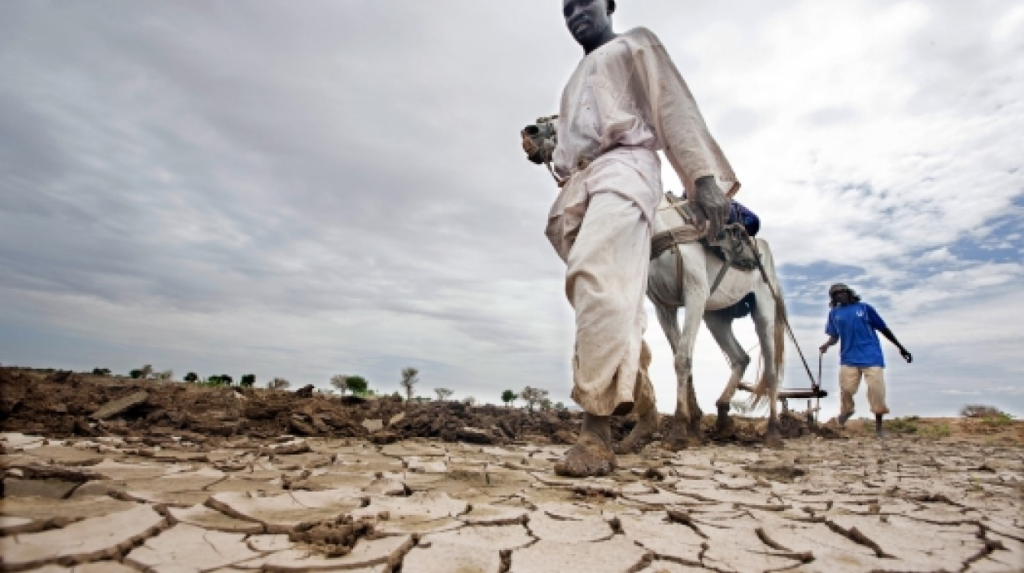 Cameroon: Climate Observatory Warns of Rising Temperatures