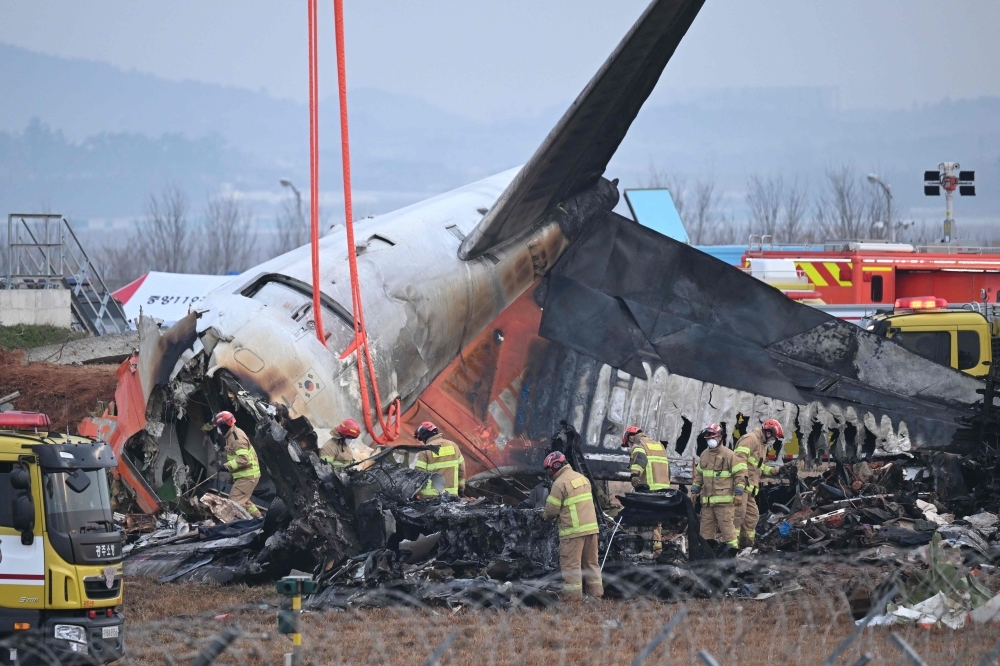 Bird Feathers Discovered in Engines of Crashed Jeju Plane